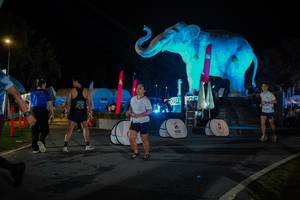 BIB: 
                            <button type="button" onclick="openModal(26552014)" class="btn btn-primary btn-sm float-right btn-popup" data-toggle="modal" data-target=".modal-high-quality">
                        <i class="fas fa-shopping-cart"></i> Add to Cart
                    </button>
                                            <button type="button" onclick="isThisMe(26552014, true)" class="btn btn-success btn-sm float-right btn-popup btn-isme hidden" data-toggle="tooltip" data-placement="bottom" title="นี่คือรูปของคุณใช่ไหม คลิกที่นี่เพื่อเอาเข้าอัลบั้ม">
                        <i class="fas fa-plus"></i> Add to album
                    </button>
                    <button type="button" onclick="isThisMe(26552014, false)" class="btn btn-warning btn-sm float-right btn-popup btn-isnotme hidden">
                        <i class="fas fa-ban"></i> Remove from album
                    </button>